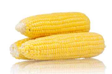 Fresh corn