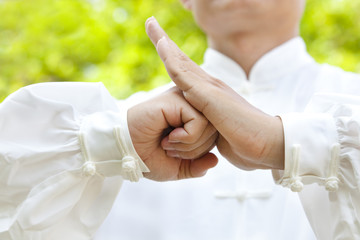 hand of master making gestures for kung fu