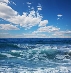 Fototapeta premium Ocean