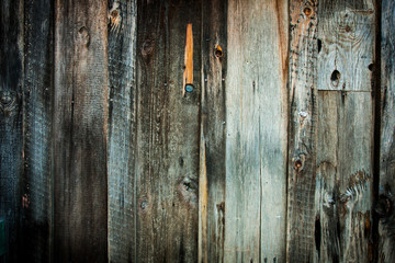 Obraz premium old wood wall background