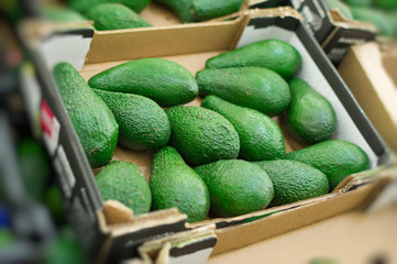 Avocado in box in supermarket