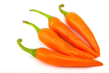 Orangr hot chili pepper isolated on a white background