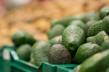 Bunch of avocado fruit on boxes in supermarket