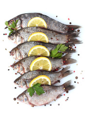 Fresh fishes with lemon, parsley and spice isolated on white