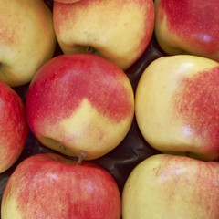 crunchy apples, food background