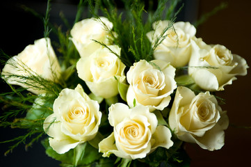yellow roses