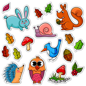 collection of forest animals and plants