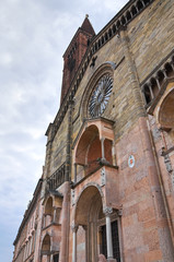 Fototapeta na wymiar Cathedral. Piacenza. Emilia-Romagna. Włochy.