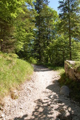 wanderweg berge