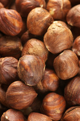 Hazelnuts close-up
