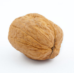 walnut