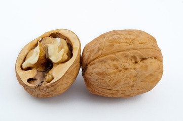 walnut
