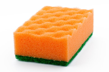 Sponge