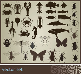 Vector set