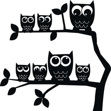 black owls