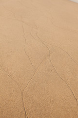 Spiaggia e Mare in Estate