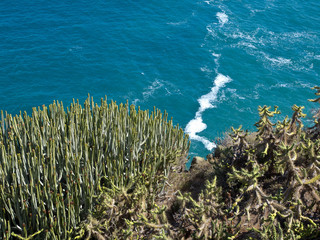 Teneriffa 4