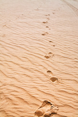 footprints on sand dune in dessert