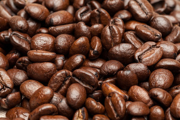 Close-up of coffee beans
