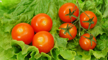 tomatos on lettuce