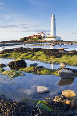 Fototapeta premium St Marys Lighthouse at low tide