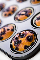 Muffin close up