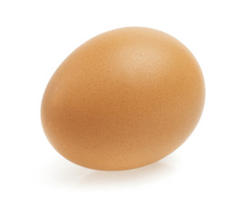 close up of egg on white background with clipping path