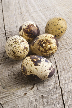 quail eggs