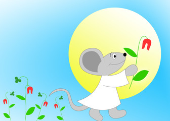 Maus