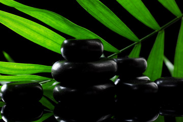 Spa stones and green palm leaf on black background