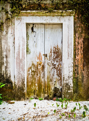 The white wooden door