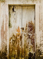 The white wooden door