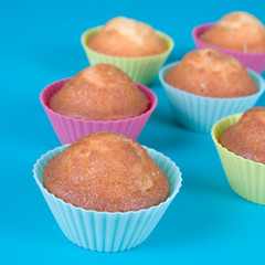 Festive cupcakes