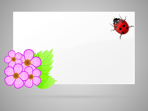 White paper with flowers and ladybird.
