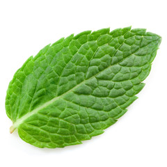 Obraz premium fresh mint leaves isolated on white background. Studio macro