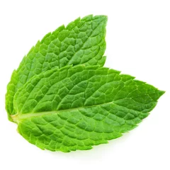 Foto op Canvas Two fresh mint leaves isolated on white background. Studio macro © Maks Narodenko