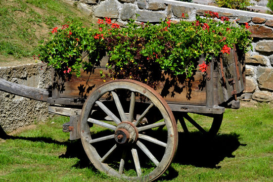caretto antico con fiori