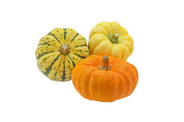 Three different Squash