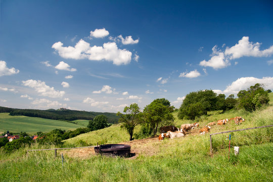 รูปภาพUnterbodnitz เลือกดูภาพถ่ายสต็อก เวกเตอร์ และวิดีโอ12 Adobe Stock