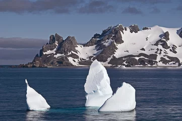Rolgordijnen Livingston Island mit Eisbergen. © kgdad