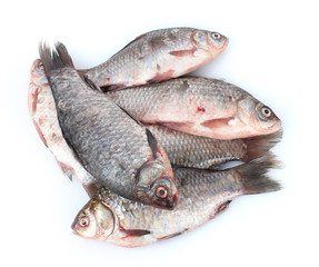 Fresh fishes isolated on white