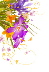 floral background