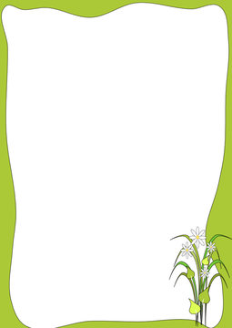 fondo floral