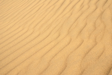 sand background