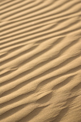 sand dunes texture