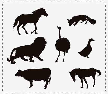 set of seven animals