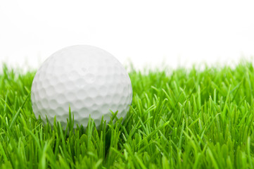 Golf Ball in Grass