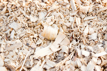 tree sawdust