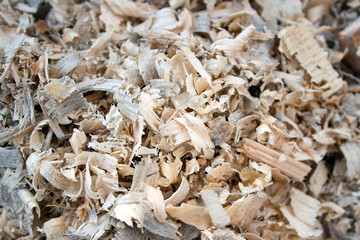 tree sawdust