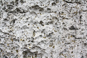 Texture rocher corail